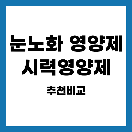  눈노화영양제 시력영양제 추천비교