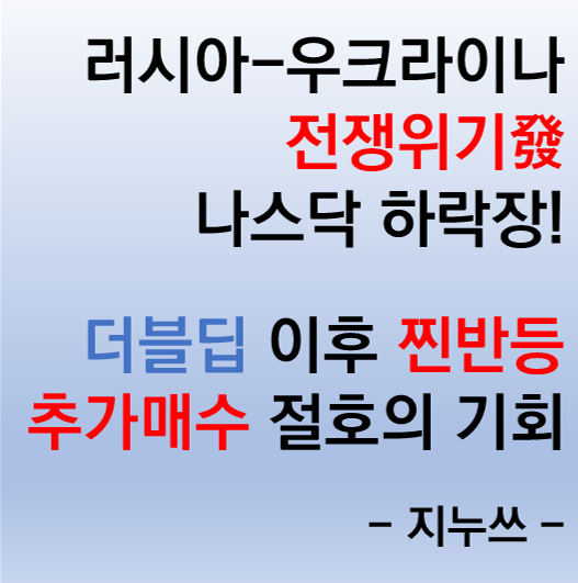  나스닥 또 다시 하락 - 더블딥 추매찬스!? (우크라이나 러시아 전쟁위기발 하락장, 공포지수)