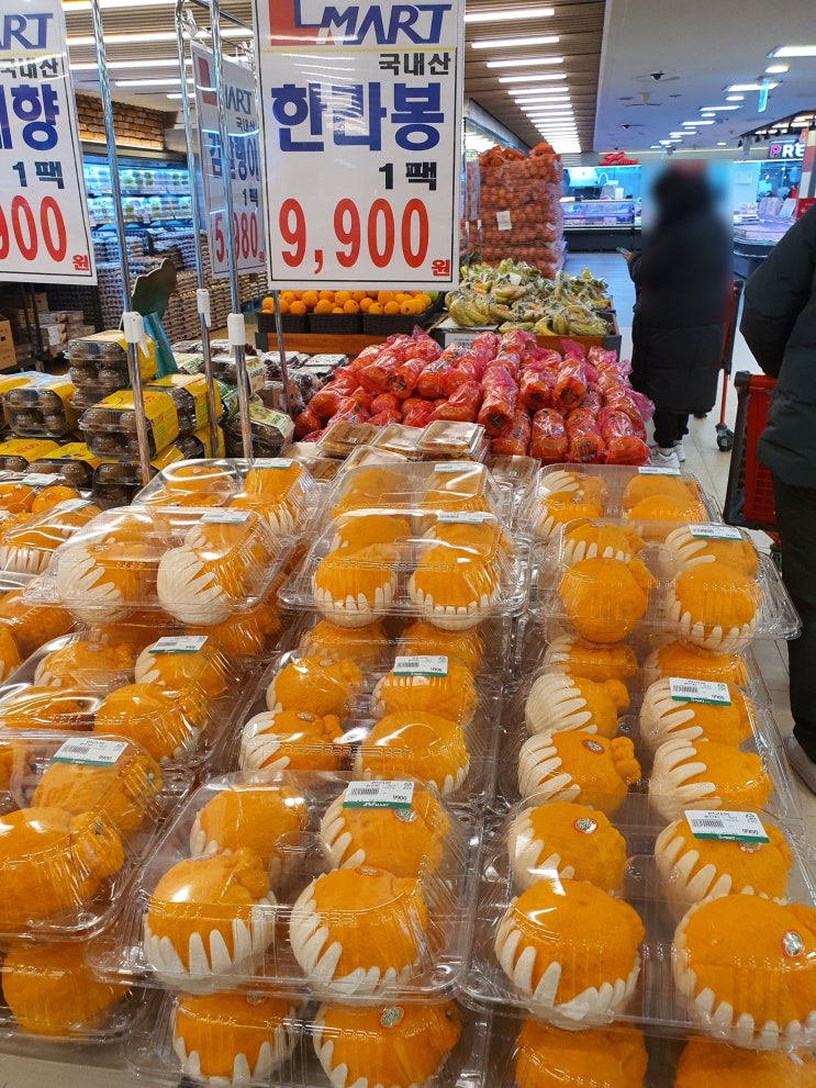  한라봉 칼로리 및 효능 그리고 제철 시기