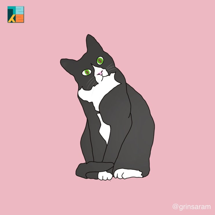  [폰배경화면]아이폰배경화면에 딱맞는 검은 고양이 그림