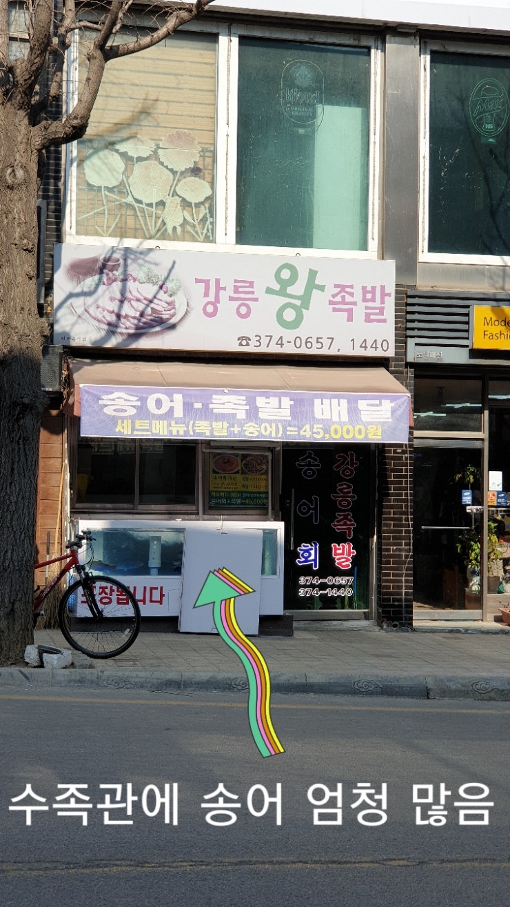 강릉왕족발 송어회 사진 3