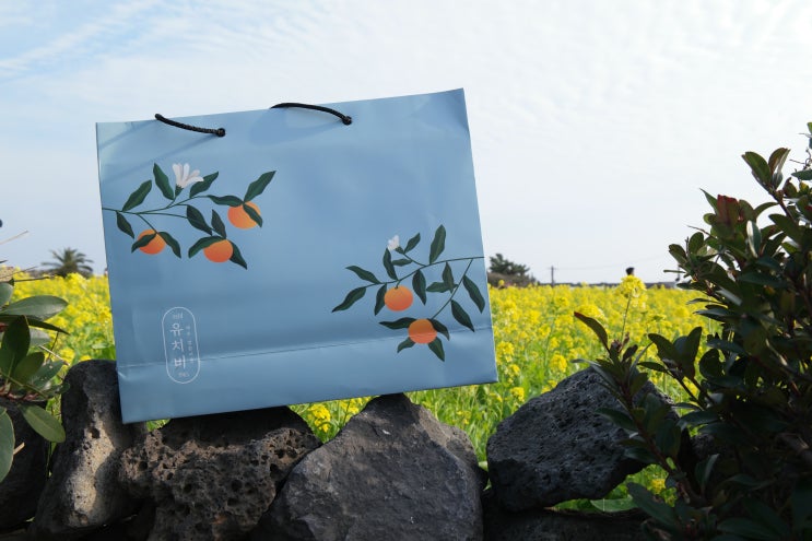  제주 특산품 한라봉 여행 선물세트로 더유스 참말로 좋수다