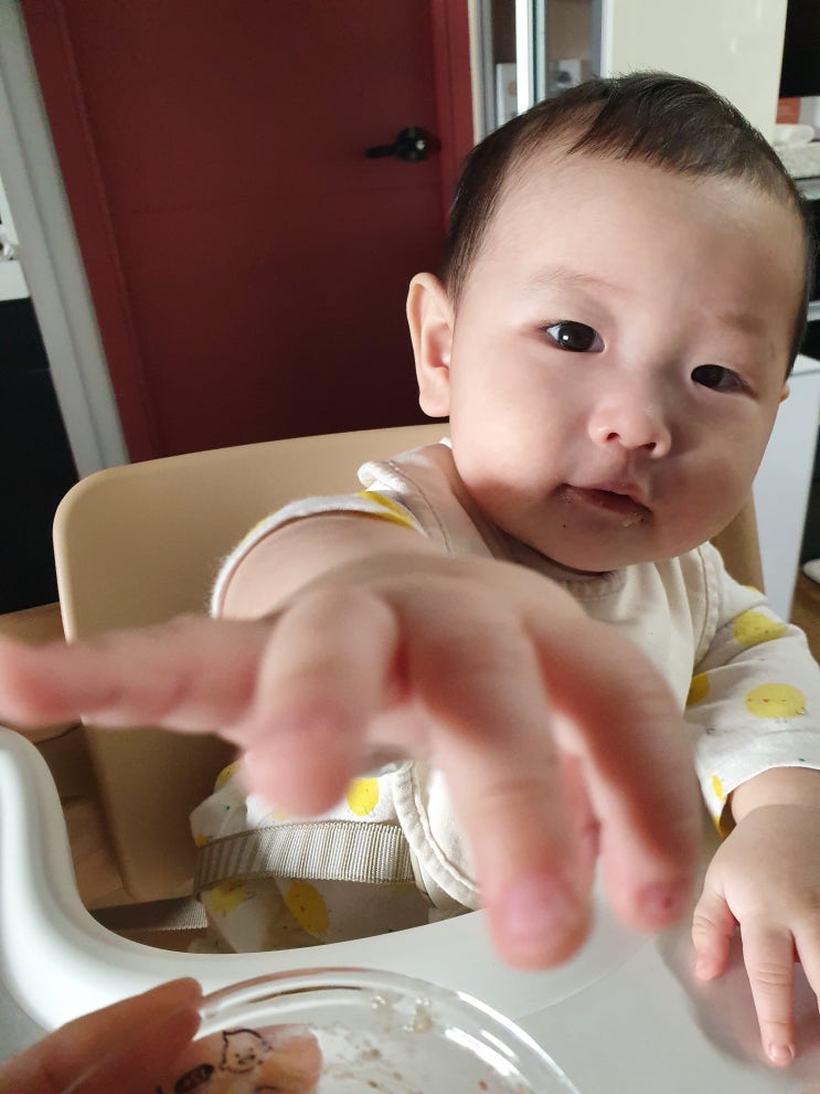  [이유식 중기] 273일 베이비무브로 만드는 소고기당근양파퀴노아팽이버섯죽과 소고기퀴노아당근단호박파프리카죽