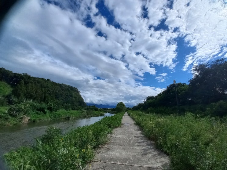  사주로 보는 인생 상담.
