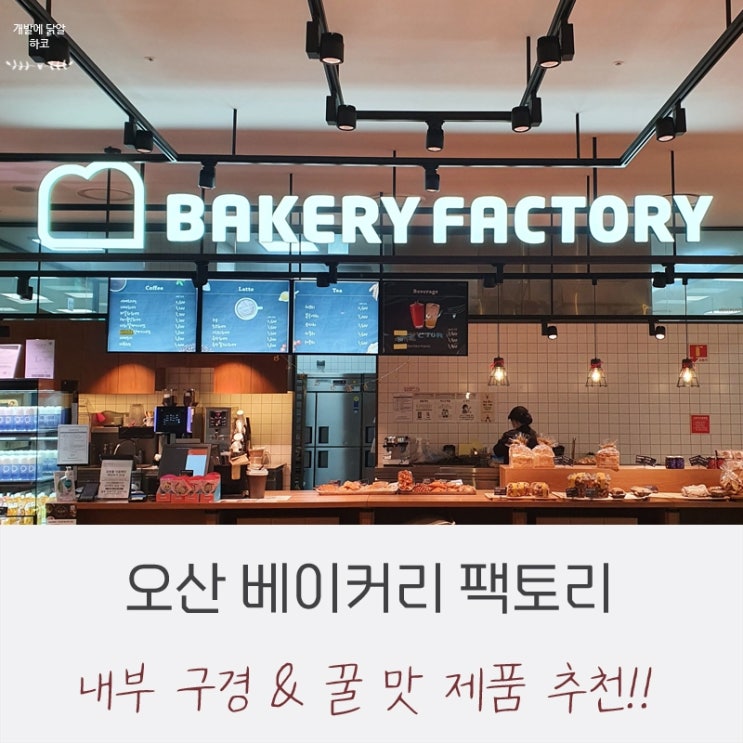  오산 베이커리 팩토리 방문 (JMT 제품 추천)