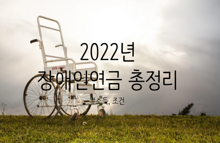 2022년 장애인연금 총정리 - 조건, 신청, 소득, 금액