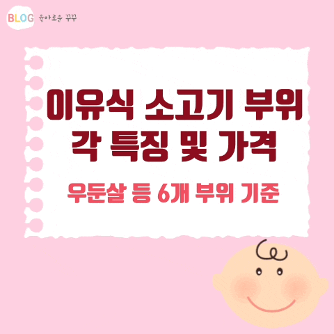  [정보] 이유식 소고기 부위6개 특징 비교 및 평균 가격(100g당)/꼭 1등급 한우로 먹어야하나요?