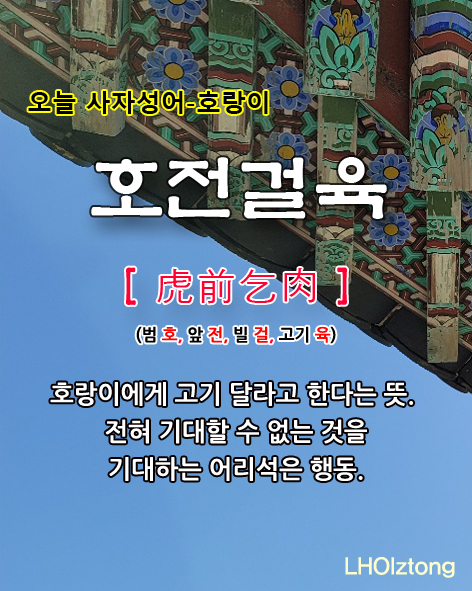 [775] 오늘 사자성어 호전걸육(虎前乞肉)의 뜻은?