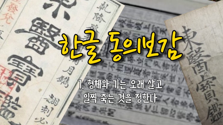  7. 형체와 기는 오래 살고 일찍 죽는 것을 정한다[形氣定壽夭] (내경편 신형)