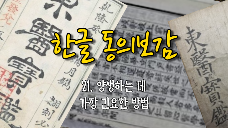 21. 양생하는 데 가장 긴요한 방법[攝養要訣] (내경편 신형)