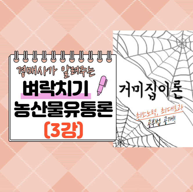 [벼락치기-농수산물유통론 #3] 뭐? 농산물에 거미집이 쳤다고!!