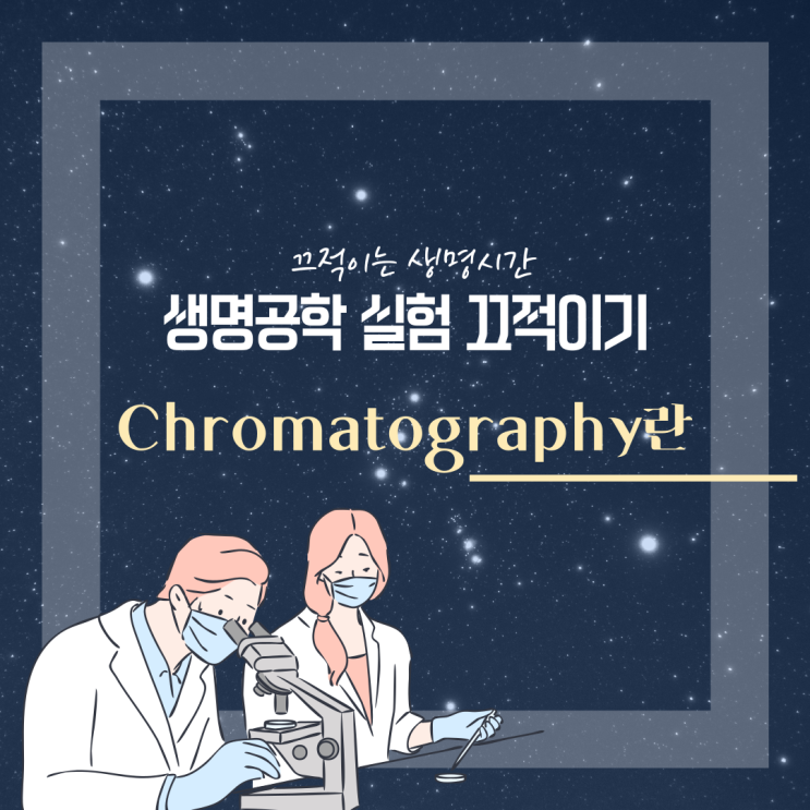단백질 정제의 기본! 크로마토그래피(Chromatography)란?