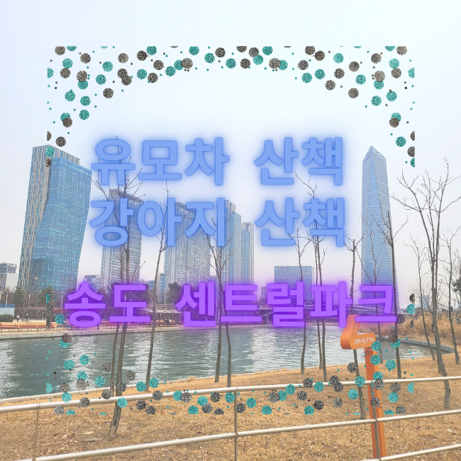  유모차 산책 강아지 산책 송도 센트럴파크 산책 다녀왔어요