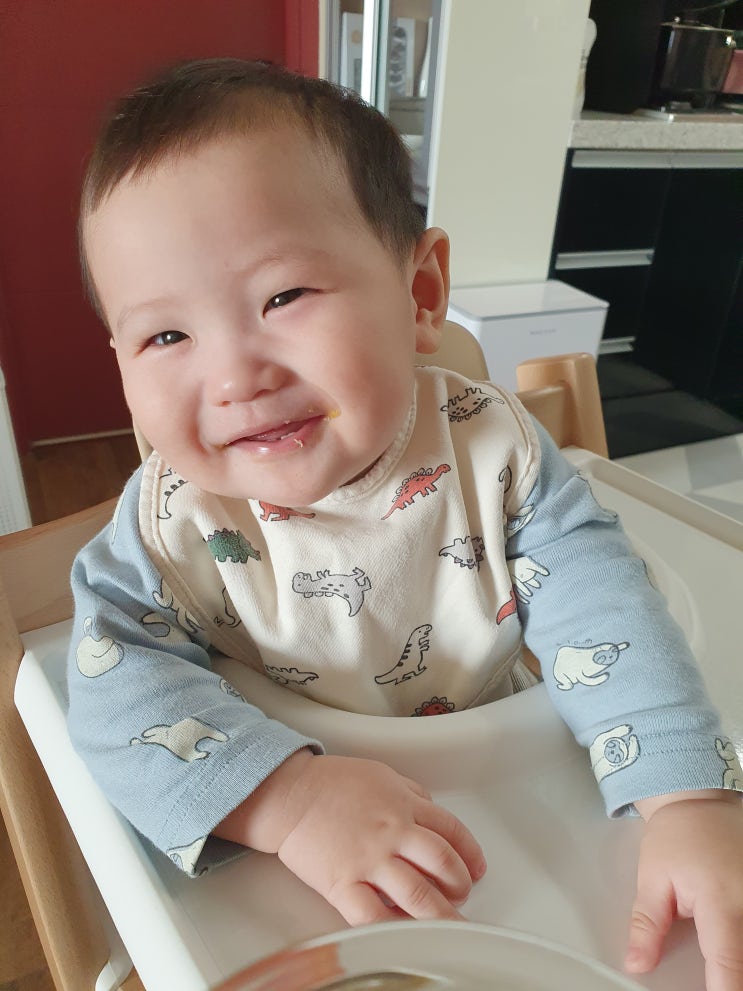  [이유식 중기] 279일 베이비무브로 만드는 닭안심찹쌀차조단호박당근완두콩죽과 소고기차조청경채가지수수들깨죽 (feat.중기 2단계 쌀가루)