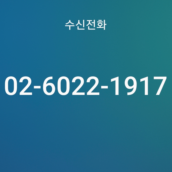 02 6022 1917 (0260221917) 진보당 대통령 후보 김재연 전화
