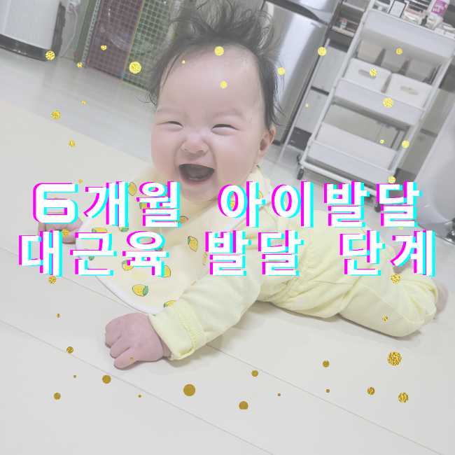  6개월  아이 발달 대근육 발달 단계
