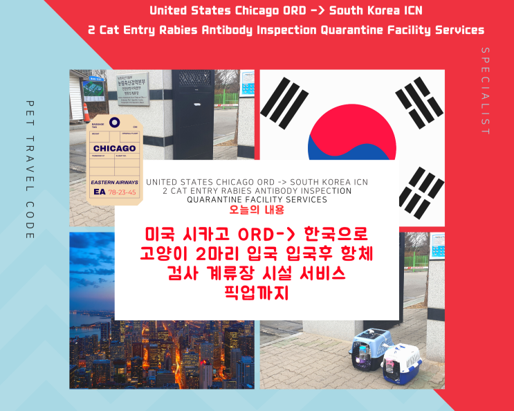  대형견 반려견 반려묘 해외에서 한국입국 강아지 고양이 검역 항체검사 픽업 호텔 반려동물해외운송 전문 서비스