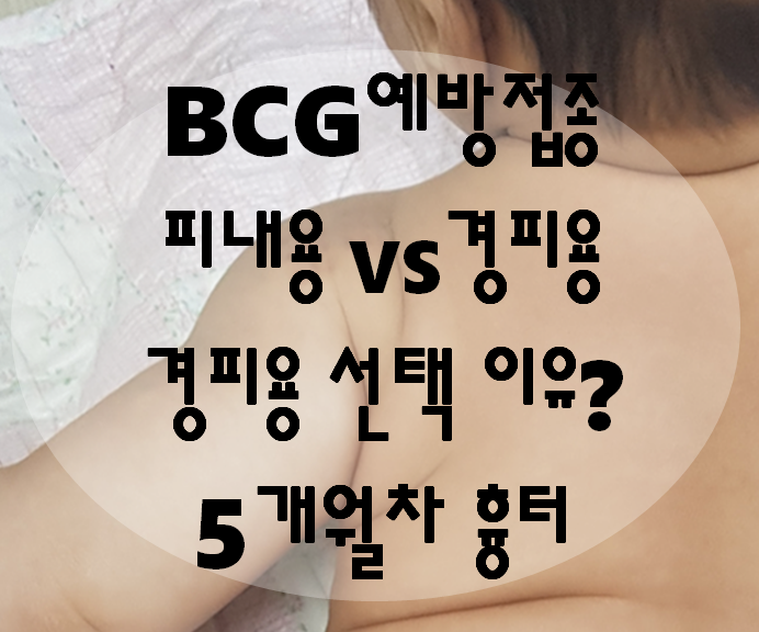 BCG 예방접종 - 경피용, 피내용이란? 경피용 선택 이유, 5개월차 흉터
