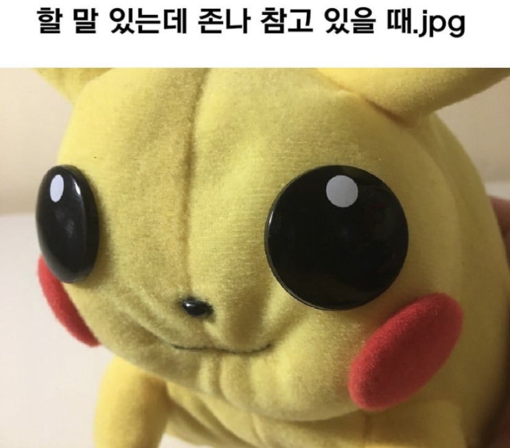  소재가 없는 삶