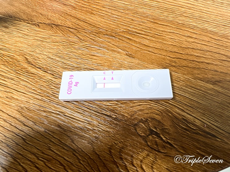  [후기] 코로나19 자가진단 키트 사용 후기! 사용법은 다들 아시죠?