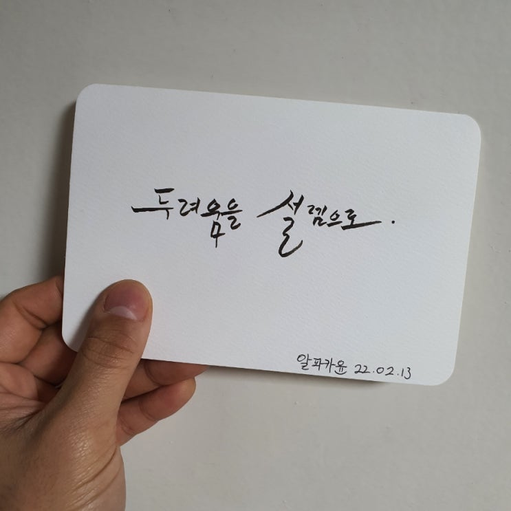  알파카윤의 여섯번째 캘리그라피! 실은 오늘 망했어요.