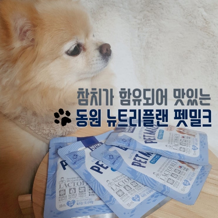  참치농축액이 들은 강아지우유: 동원 뉴트리플랜 펫 밀크