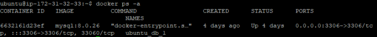  docker  mysql 설치