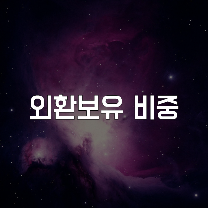  외환보유 비중  l 금융 논술 연습