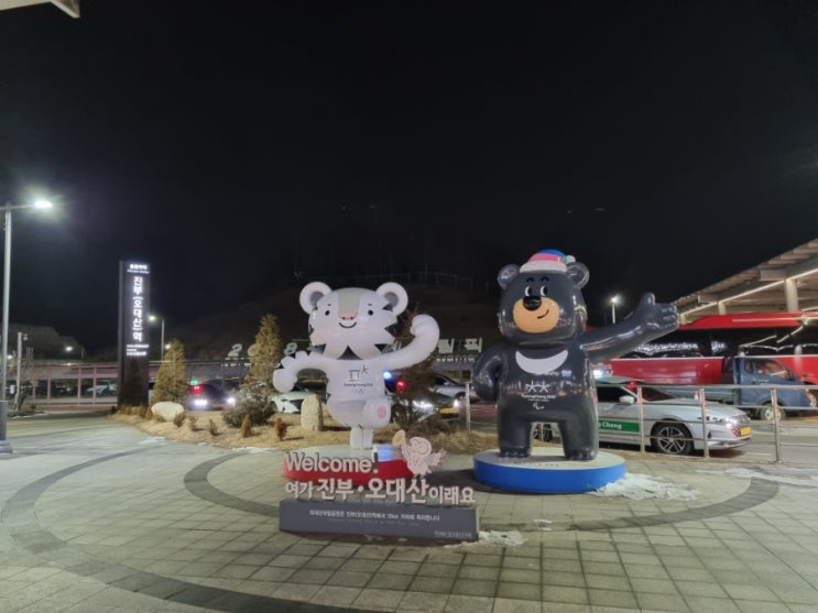  [스키]용평원정대 Part 1 차없이 기차타고 가기