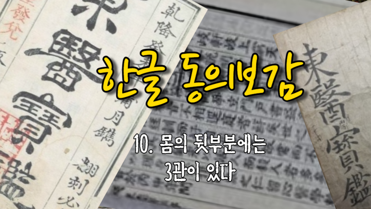  10. 몸의 뒷부분[背]에는 3관(三關)이 있다[背有三關] (내경편 신형)