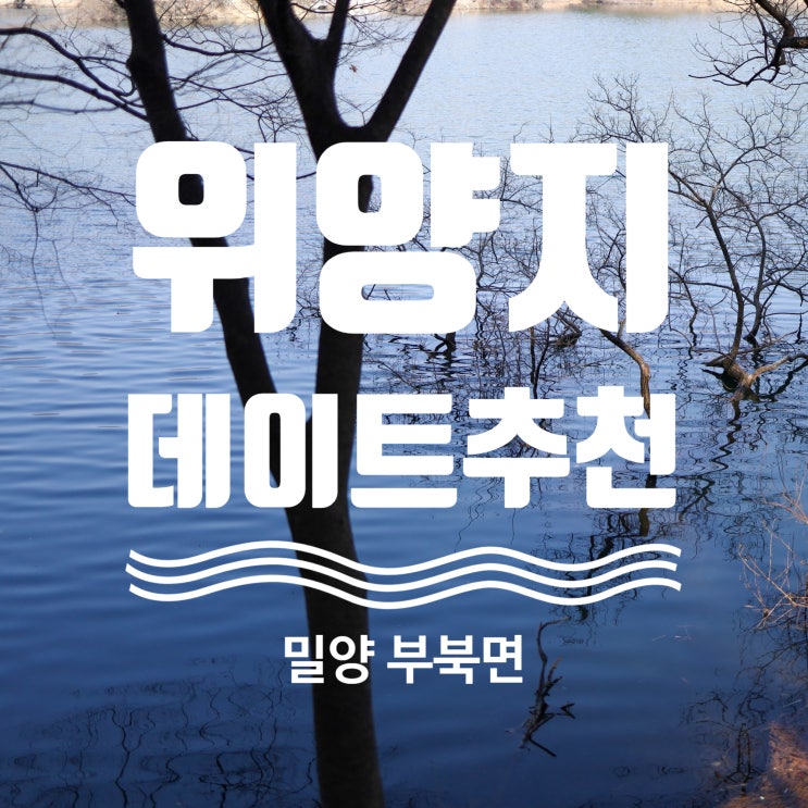  밀양 포토존 가볼 만한 곳 산책 추천 위양지 데이트코스