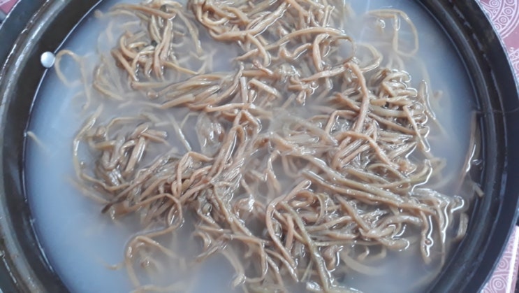  건고사리 삶는 법, 말린 나물 이렇게 삶아야 부드럽고 맛있어요!