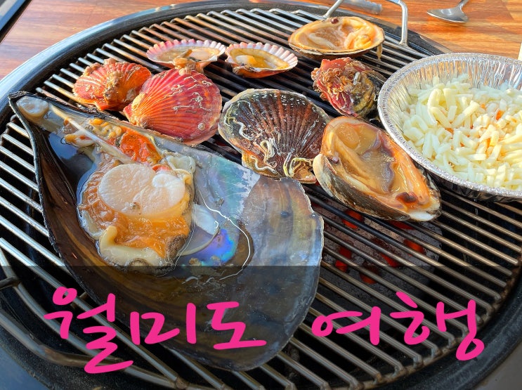  [월미도 여행] 조개구이 무한리필 해뜨는 회집 / 월미도 놀거리(테마파크,공원,열차)
