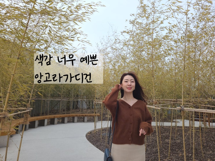  여자 앙고라가디건 추천 색깔별로 쟁이고싶은 잇템