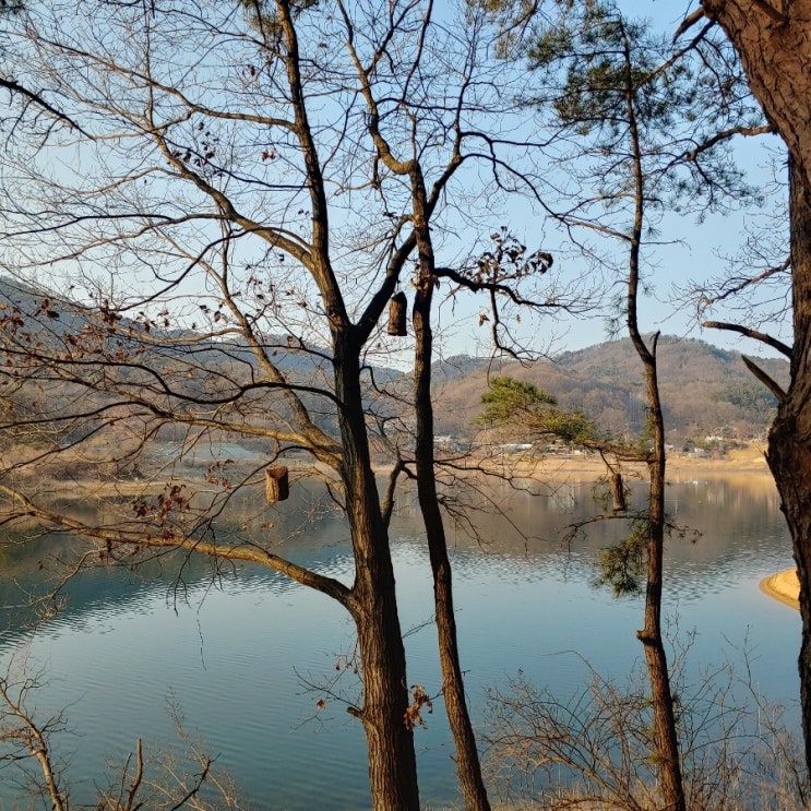  주말 - 시골 짱박혀있기