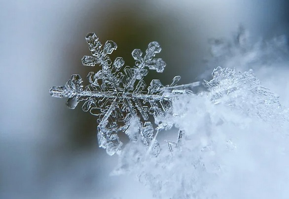 [랜선 타고 일본여행] 북해도의 겨울 • 꽃처럼 아름다운 눈 결정체(雪の結晶) 【홋카이도】