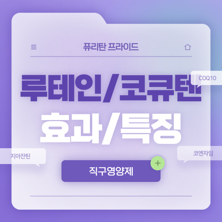  퓨리탄 프라이드 루테인/코큐텐 효과 및 특징 【#COQ10 #지아잔틴 #직구영양제】