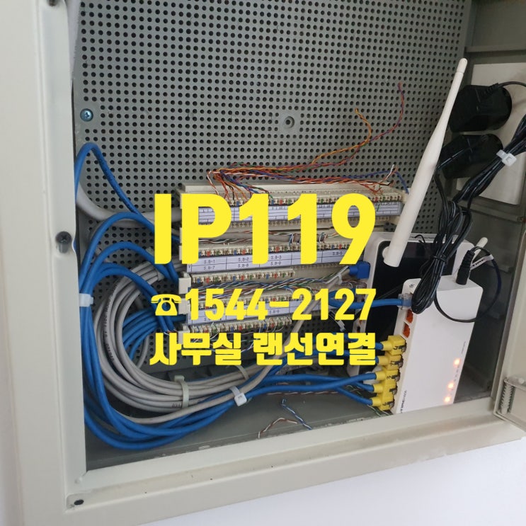  겨울이 지나고 봄이 와도.. 랜선연결은 계속된다!!