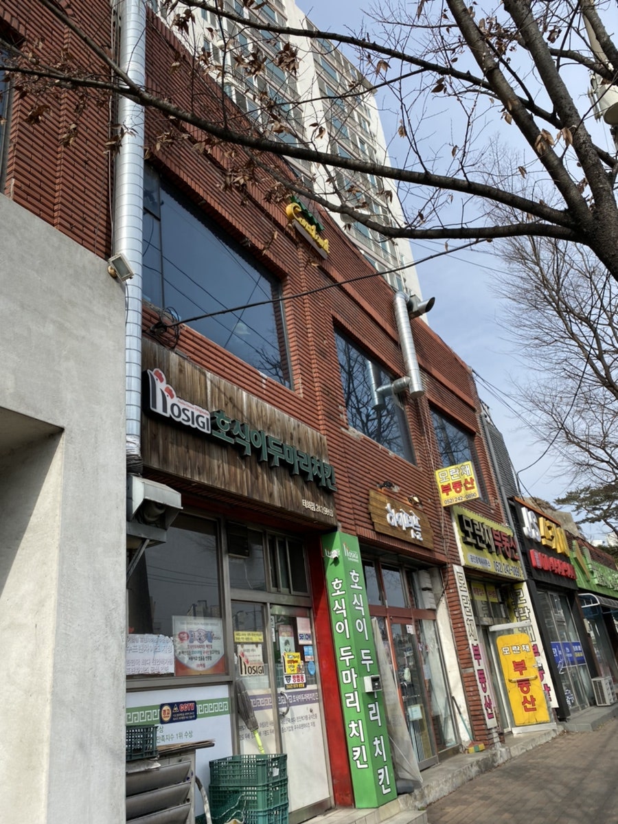 멜로컵 사진 1