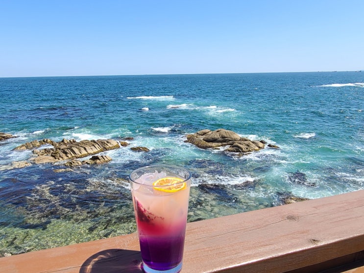 강릉카페 <커피바다> 물멍하기 좋아요 