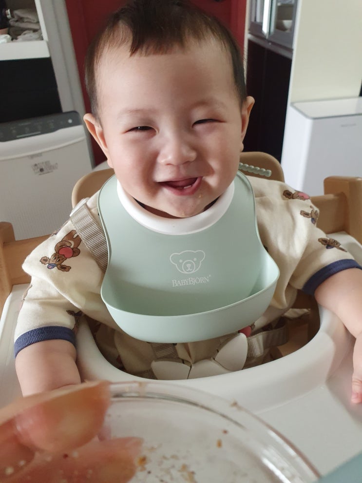  [이유식 후기] 292일 밥솥이유식 소고기시금치감자아스파라거스죽과 밥새우당근양파표고버섯죽