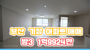 부산 소형아파트 매매  기장읍 신축급 방3 최저가 1억9924만원