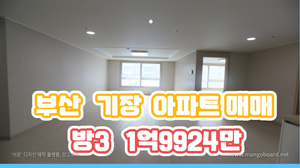  부산 소형아파트 매매  기장읍 신축급 방3 최저가 1억9924만원
