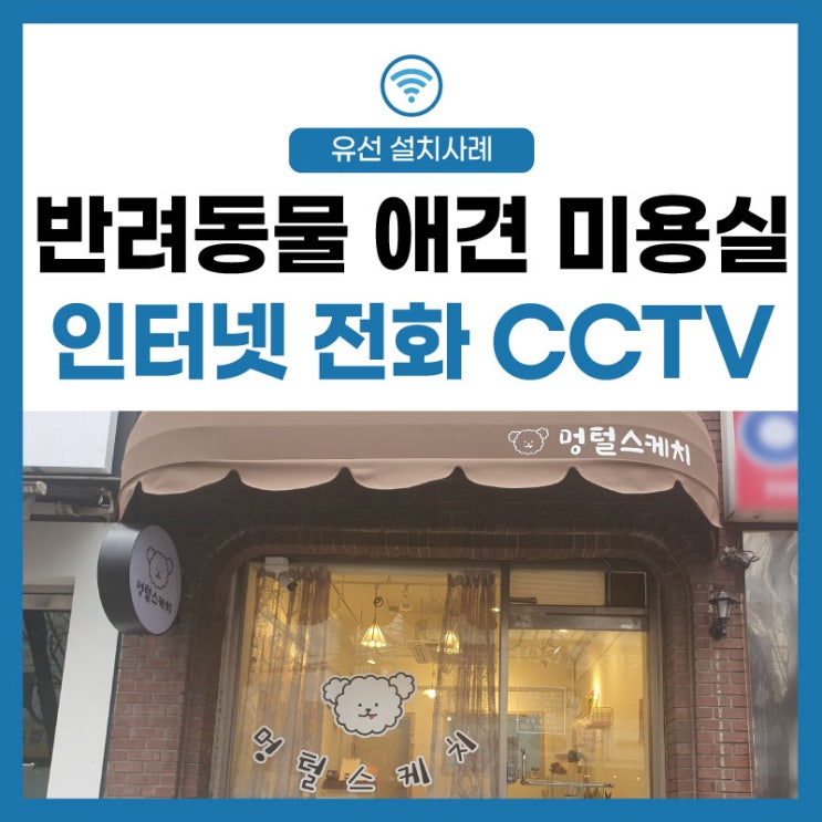 [LGU+ 매장 인터넷 cctv] 우리 반려동물 안양 애견 미용실 멍털스케치