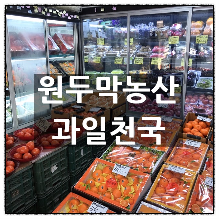 대전 과일 맛집 원두막농산 과일천국 타이벡귤 감귤 꿀맛