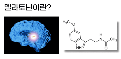  멜라토닌부작용 멜라토닌2mg 총정리
