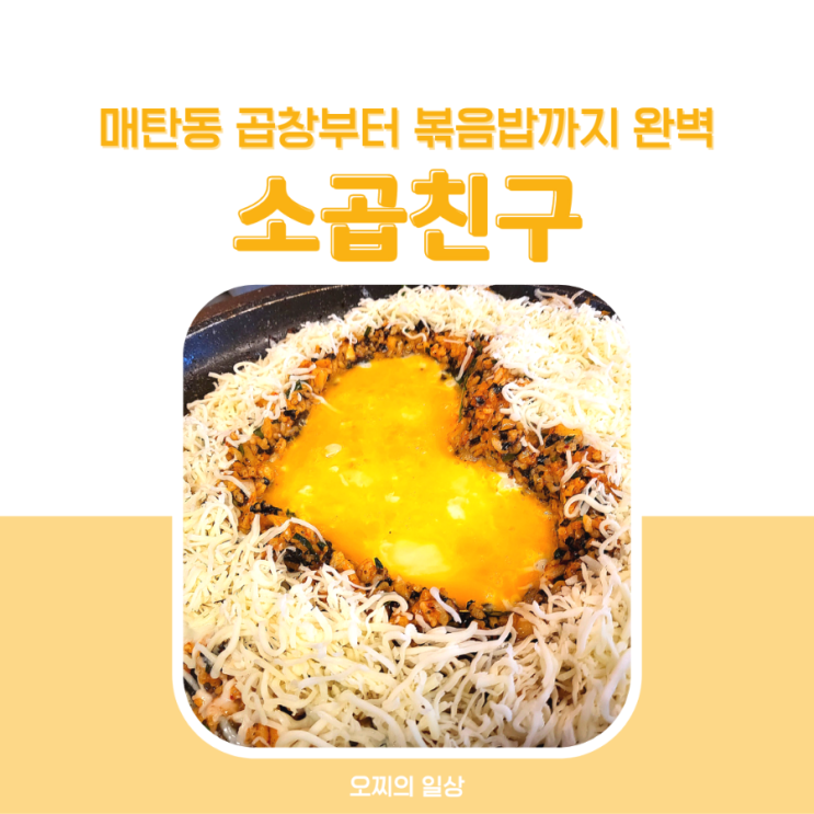 매탄동 곱창 소곱친구 : 내 단골집 + 예약 및 할인 팁