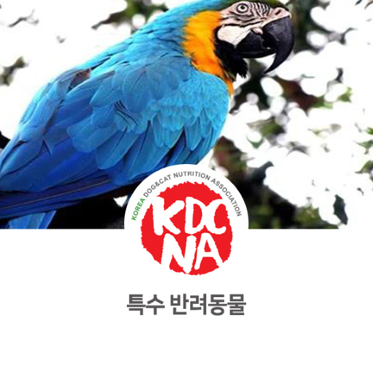  특별한 반려동물 특수 동물에 대해서 [한국반려동물영양협회/성다훈펫영양사/애견간식만들기/강아지자연식/펫푸드수업/전주/김제/광양/광주/순창/군산_982]