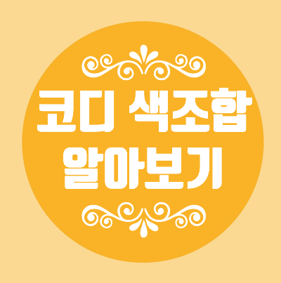  코디 색조합 알아보기