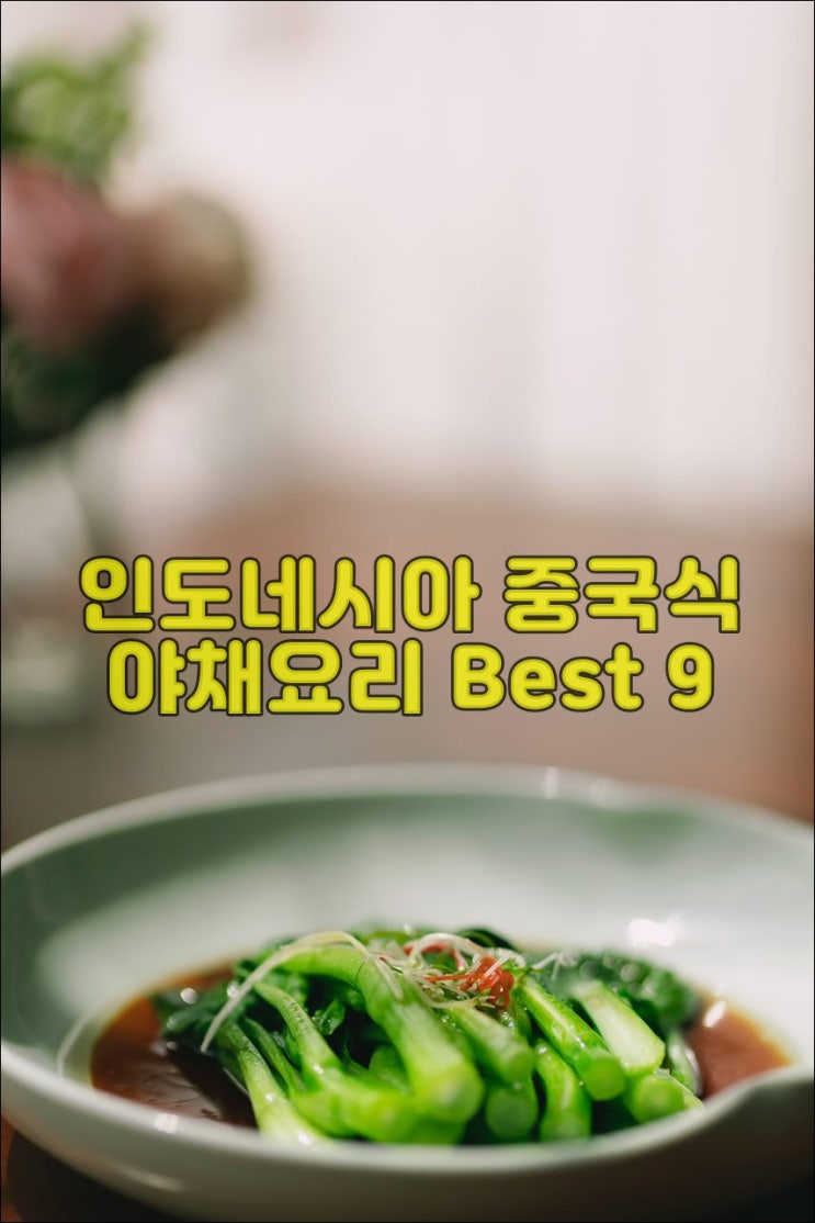 인도네시아 중국식 야채요리 Best 9